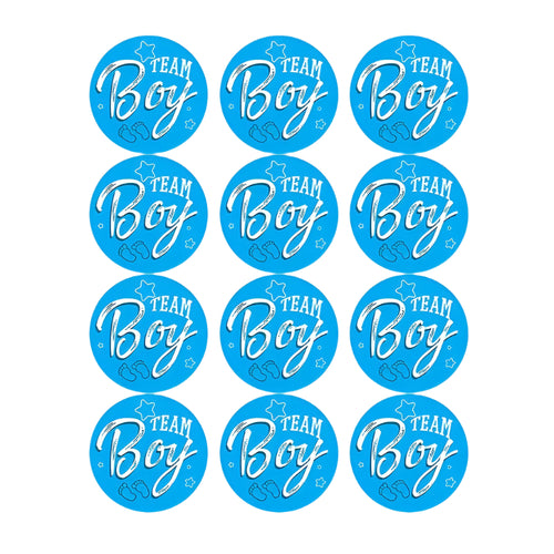 Team Boy / Team Girl Klistermärken – 60/120 st
